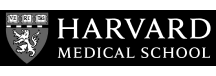 harvard
